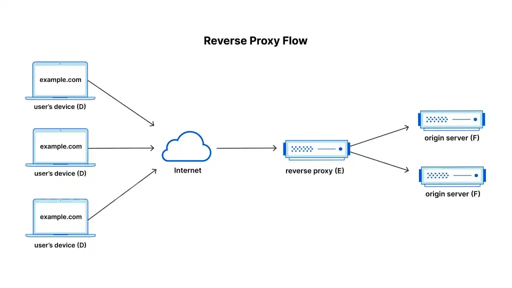 what is reverse proxy server

