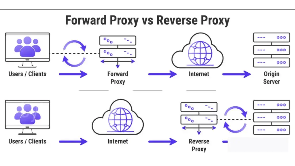 forward proxy vs reverse proxy
